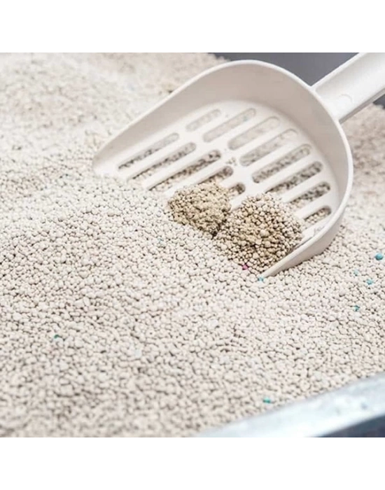 ÇOK SATAN Proline Marsilya Sabun Kokulu Topaklanan Bentonit Kedi Kumu 20 Lt