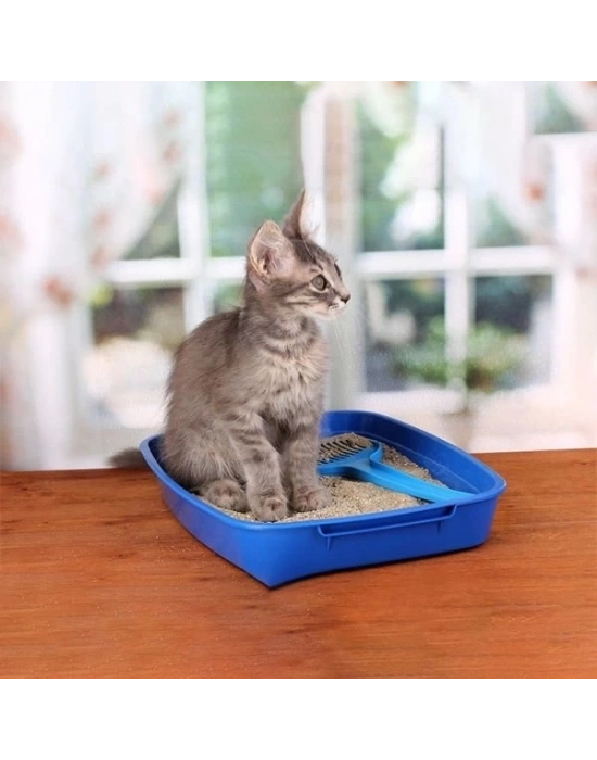 ÇOK SATAN Reflex Sensitive Kokusuz Bentonit Doğal Kedi Kumu 6 Lt