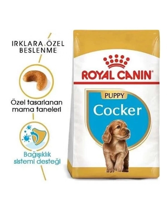 ÇOK SATAN Royal Canin Cocker Junior Yavru Köpek Maması 3 Kg