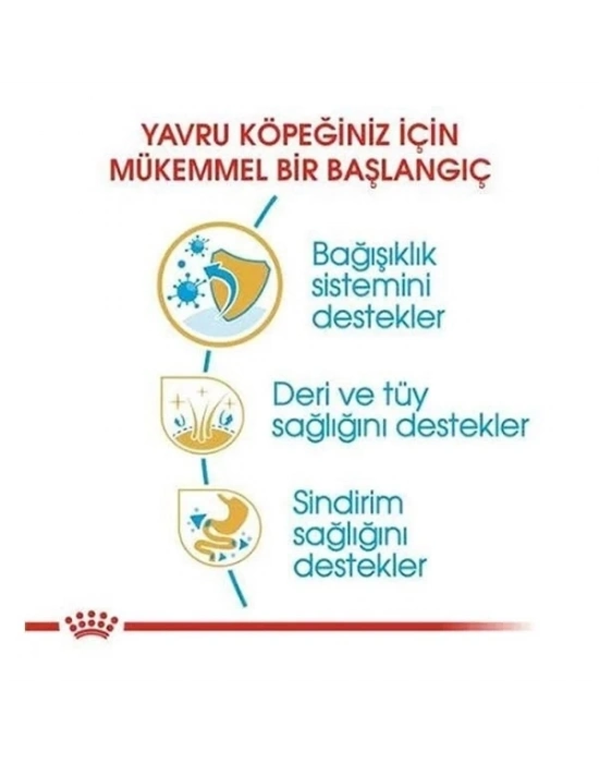 ÇOK SATAN Royal Canin Cocker Junior Yavru Köpek Maması 3 Kg