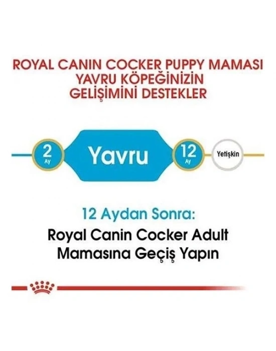 ÇOK SATAN Royal Canin Cocker Junior Yavru Köpek Maması 3 Kg