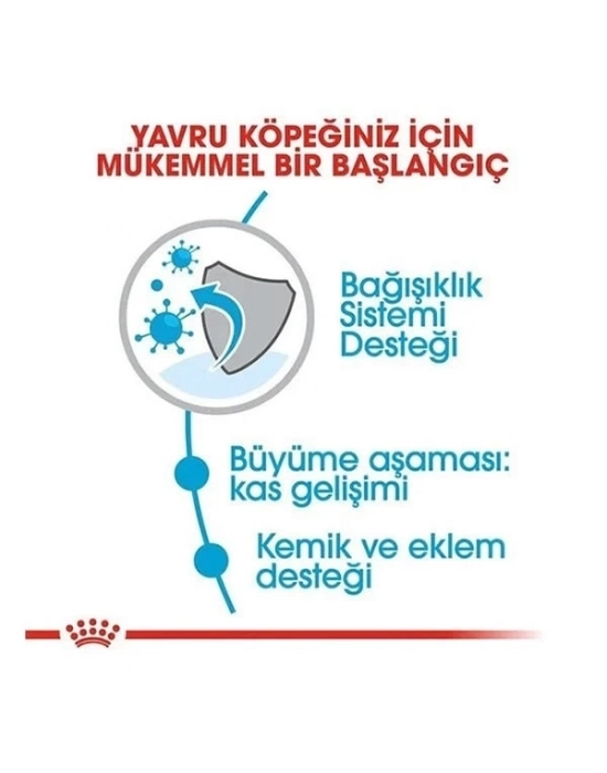 ÇOK SATAN Royal Canin Giant Junior Dev Irk Yavru Köpek Maması 15 Kg