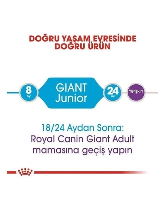 ÇOK SATAN Royal Canin Giant Junior Dev Irk Yavru Köpek Maması 15 Kg