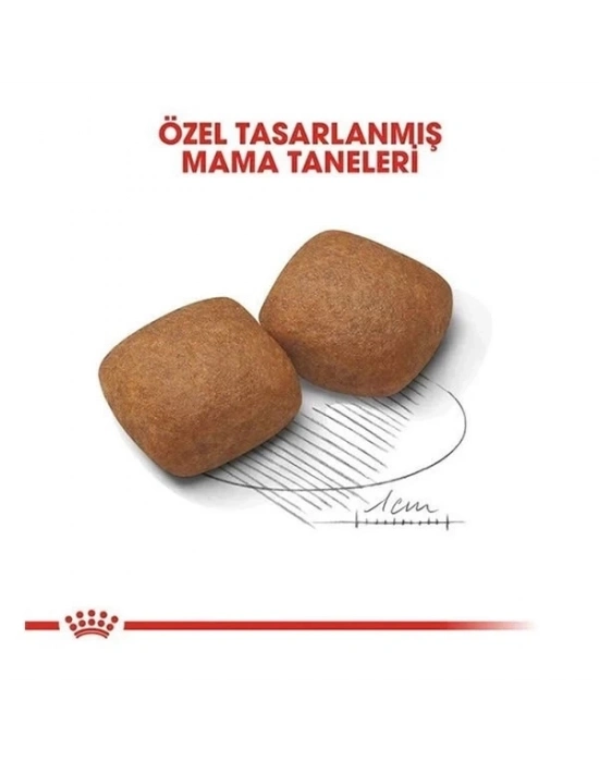 ÇOK SATAN Royal Canin Giant Junior Dev Irk Yavru Köpek Maması 15 Kg
