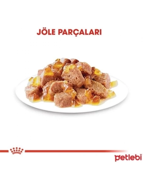 ÇOK SATAN Royal Canin İnstınctive Jelly Pouch Konserve Kedi Maması 85 Gr