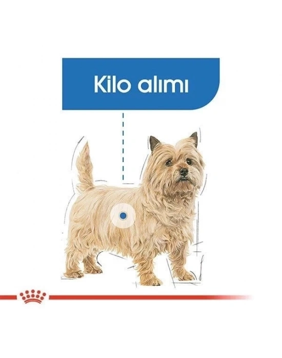 ÇOK SATAN Royal Canin Mini Light Care Diyet Yetişkin Köpek Maması 3 Kg