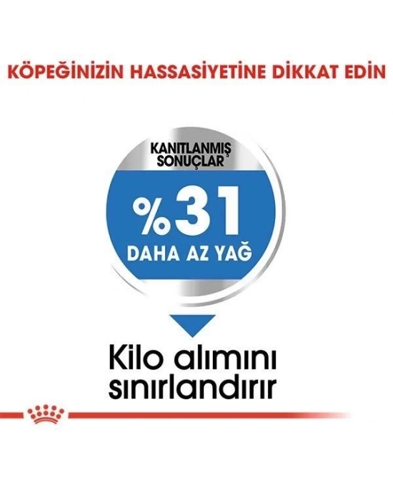 ÇOK SATAN Royal Canin Mini Light Care Diyet Yetişkin Köpek Maması 3 Kg