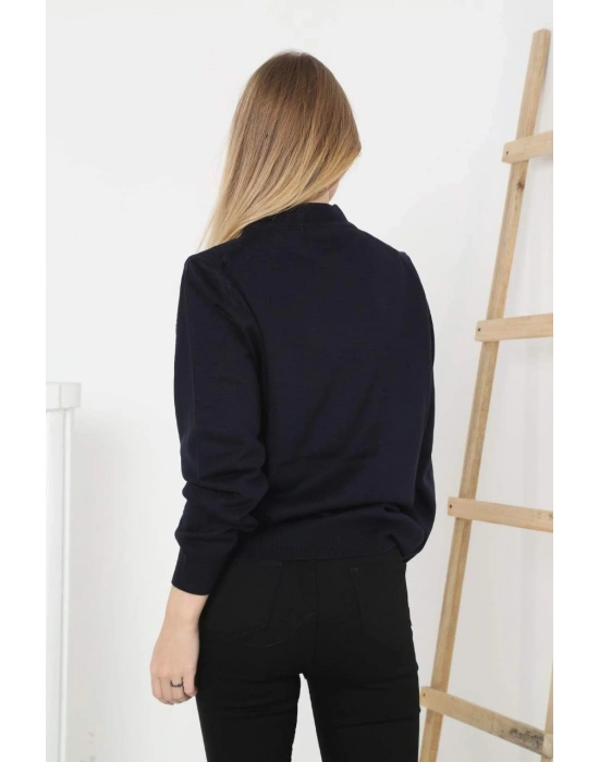 Yarım Boğaz Triko Kazak  at Regular kalıp - Siyah