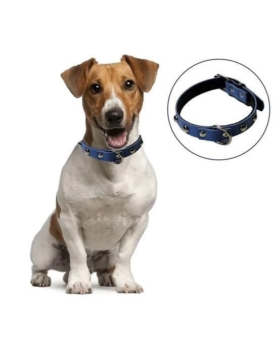 ÇOK SATAN Yumuşak Dokulu Deri Köpek Gezdirme Boyun Tasması (Large)