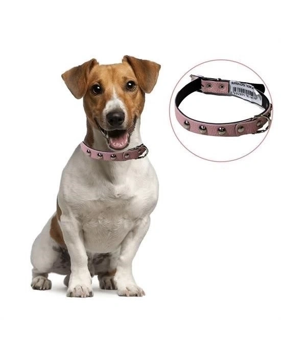 ÇOK SATAN Yumuşak Dokulu Deri Köpek Gezdirme Boyun Tasması Medium