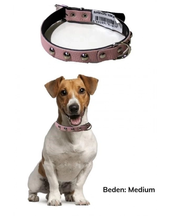 ÇOK SATAN Yumuşak Dokulu Deri Köpek Gezdirme Boyun Tasması Medium