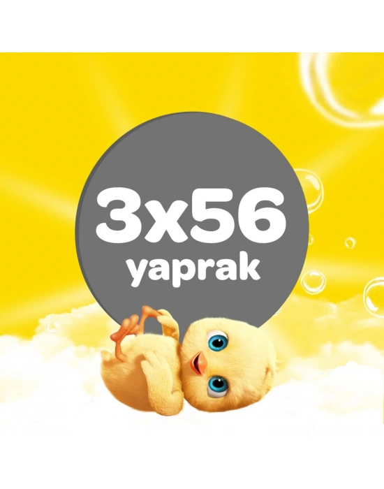 Dalin Islak Pamuk Havlu Mendil 3x56