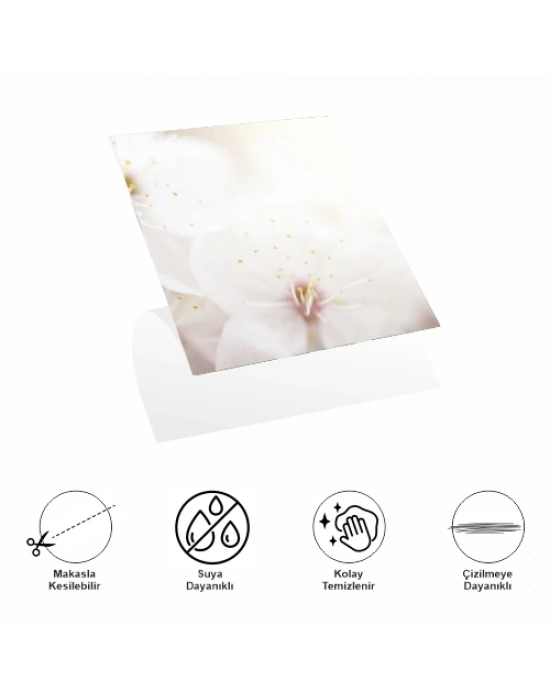 Decohandy 30x30 Cm Pvc Duvar Karosu 4Lü Paket - Japon Çiçeği