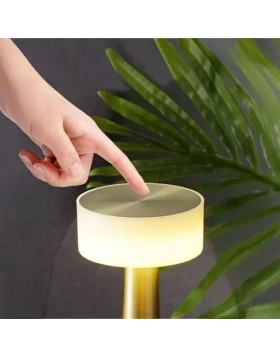 Dekoratif Led Masa Lambası