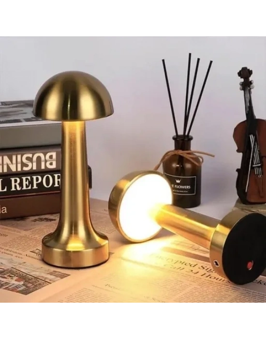 Dekoratif Led Masa Lambası 3 Renk Modlu