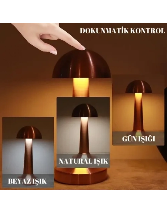 Dekoratif Led Masa Lambası 3 Renk Modlu