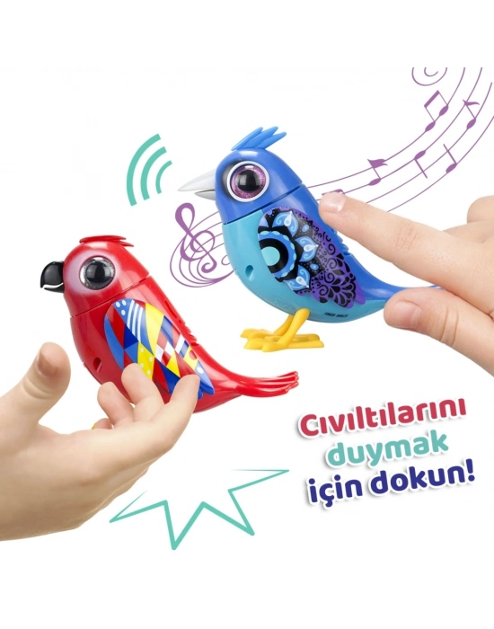Digibirds İkili Paket Seri 2