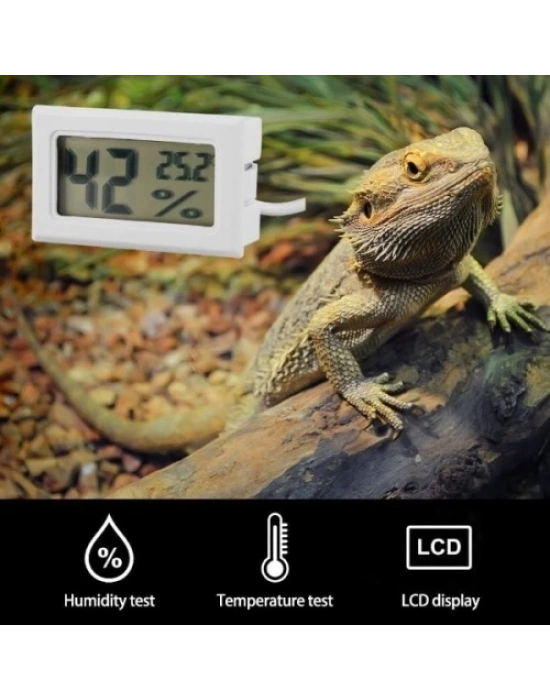 Dijital Termometre ve Higrometre