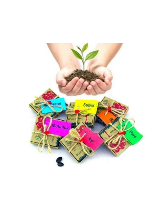 Dilek Tohumları - Şans