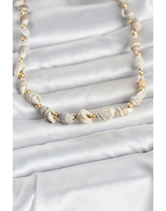 Doğal Deniz Kabuğu Dizi Kadın Kolye