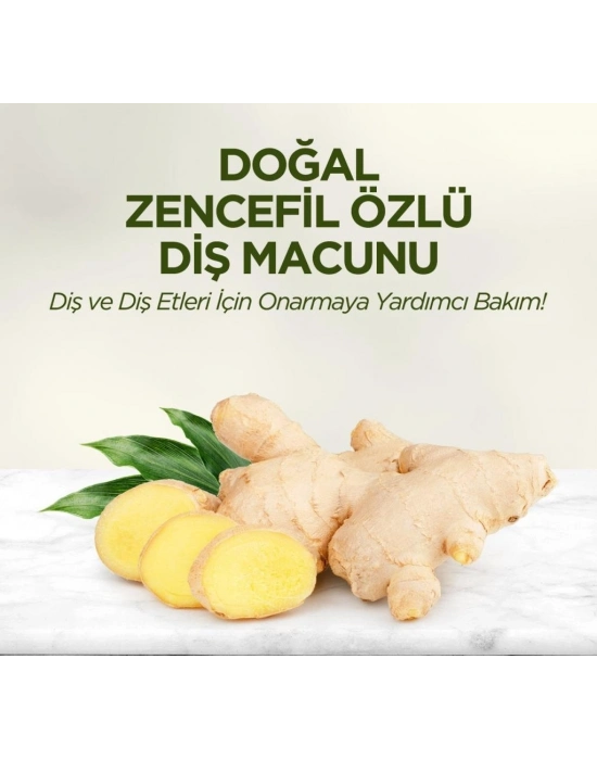 Doğal Diş Macunu 90 Gr Zencefil Özlü