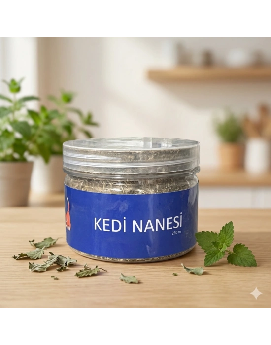 Doğal Kedi Nanesi (Catnip) - 250 ml Kavanoz - Eğlenceli ve Doğal