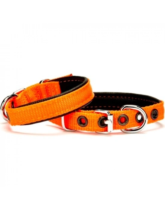 Doggie Softlu Köpek Boyun Tasması 1,5 cm x 30 cm Turuncu