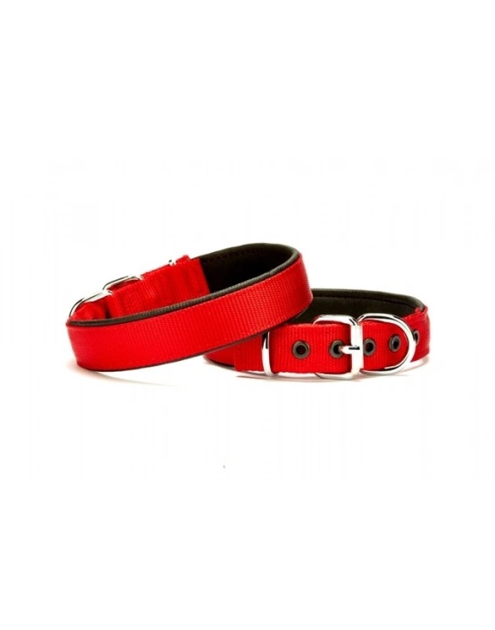 Doggie Softlu Köpek Boyun Tasması 2 cm x 40 cm Kırmızı