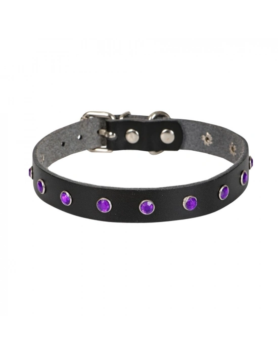 Doggie Taşlı Kedi ve Yavru Köpek Tasması 1*23 cm Mavi Medium