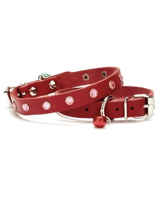 Doggie Taşlı Kedi ve Yavru Köpek Tasması 1,0x19 cm Kırmızı Small