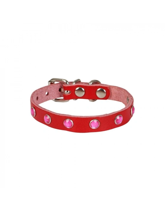 Doggie Taşlı Kedi ve Yavru Köpek Tasması 1,0x19 cm Kırmızı Small