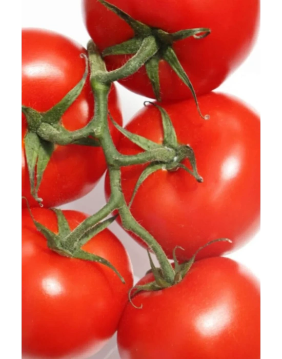 Domates Tohumu Falcon 5 Gr