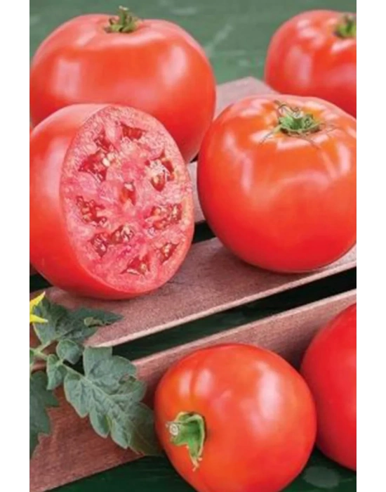 Domates Tohumu H.2274 5 Gr