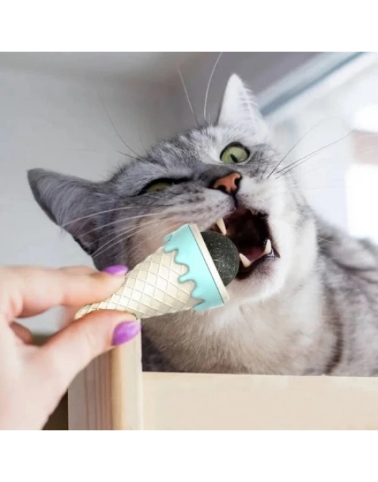 DONDURMA ŞEKLİNDE KEDİ NANESİ KEDİ OTU