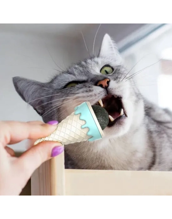 Dondurma Şeklinde Kedi Otu Nanesi