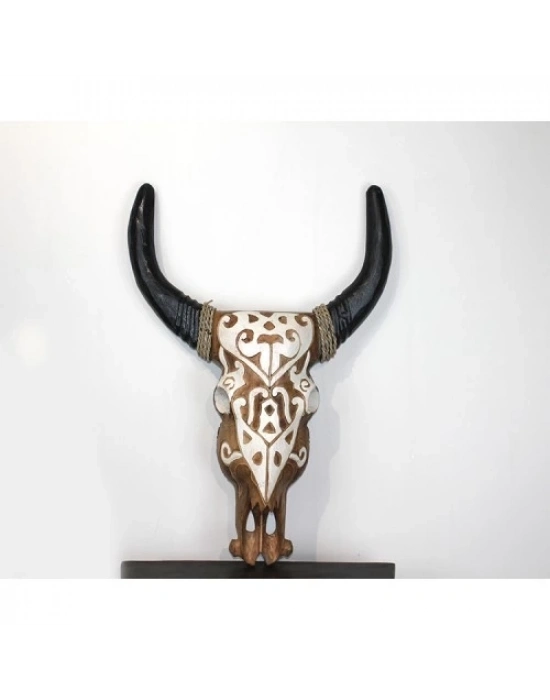 Duvara Asmalı Bufalo Kafası