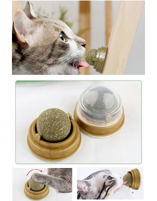 Duvara Yapışan Dönen Kedi Nanesi Cat Oyun Topu Doğal Kedi Oyuncağı