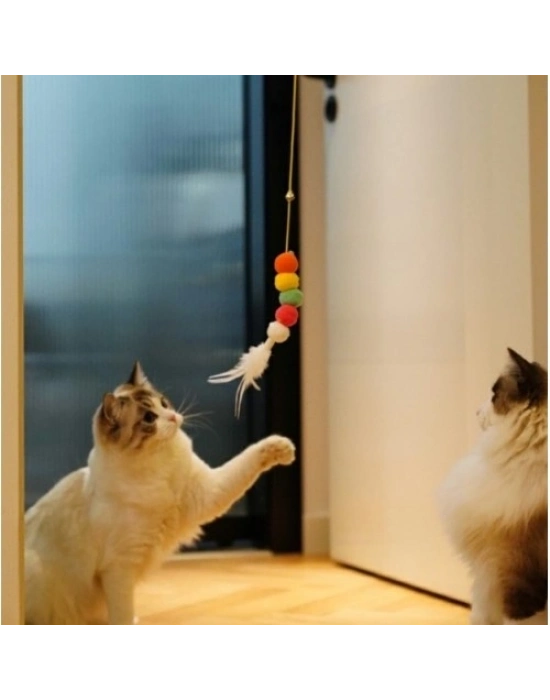 Elastik Yapışkanlı Kedi Oyun Oltası