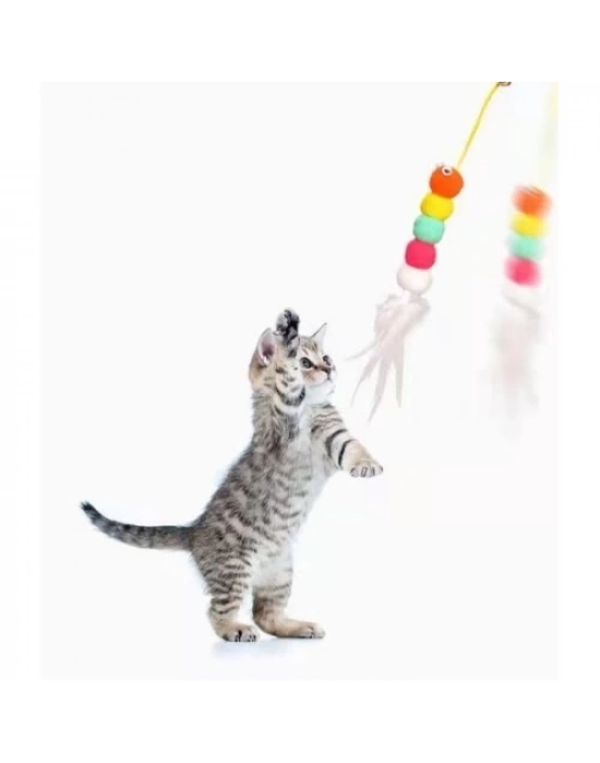 Elastik Yapışkanlı Kedi Oyun Oltası