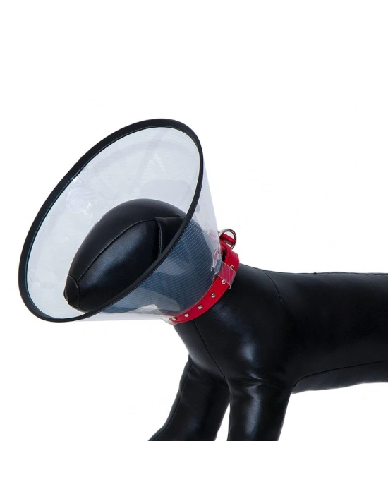 Elizabeth Köpek Yakalığı 20 CM