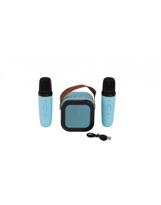 EMR-102 KUTULU 2Lİ KARAOKE MİKROFON