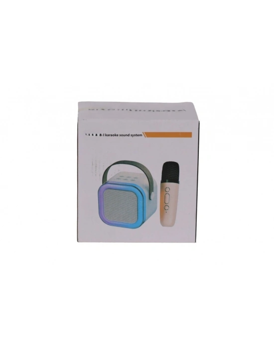 EMR-102 KUTULU 2Lİ KARAOKE MİKROFON