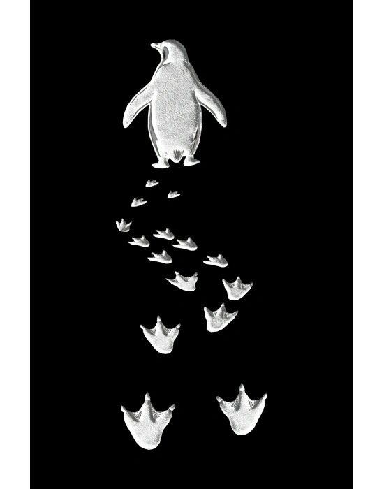 Erkek Nihilist Penguen Temalı Oversize Bisiklet Yaka Tişört - Siyah