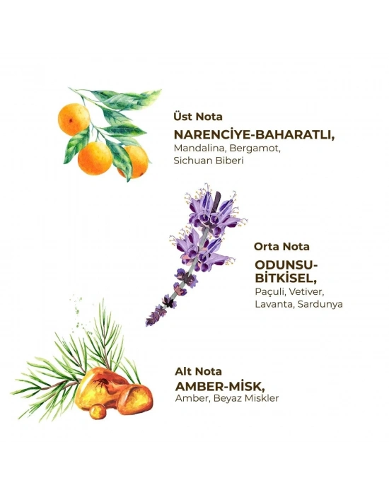 Erkek Roll On Deodorant 75 ml Sport