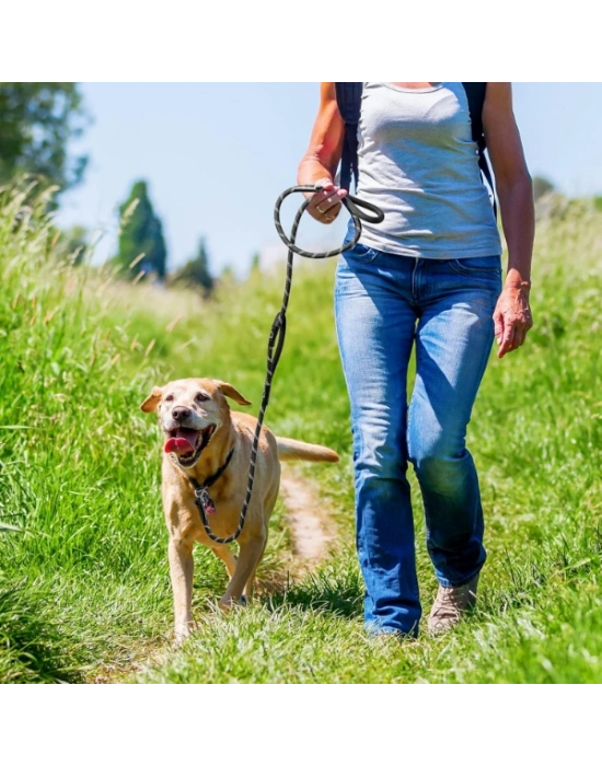 Evcil Hayvan Fitil Gezdirme Tasması 10 mm x 120 cm