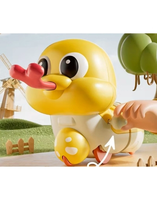 Evcil Hayvan Kedi Kurmalı Salyangoz Oyuncak