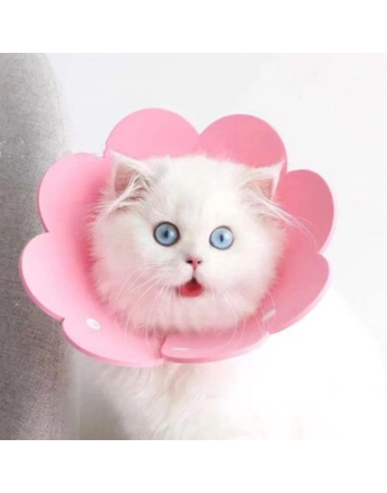 Evcil Hayvan M Boy Keçe Elizabeth Yakalığı