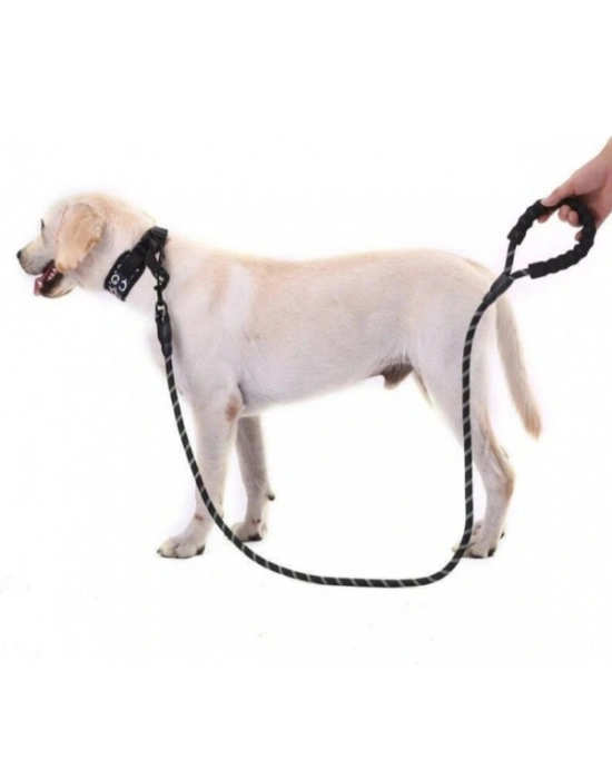 Evcil Hayvan Reflektörlü Fitil Gezdirme Tasması 12 mm x 120 cm