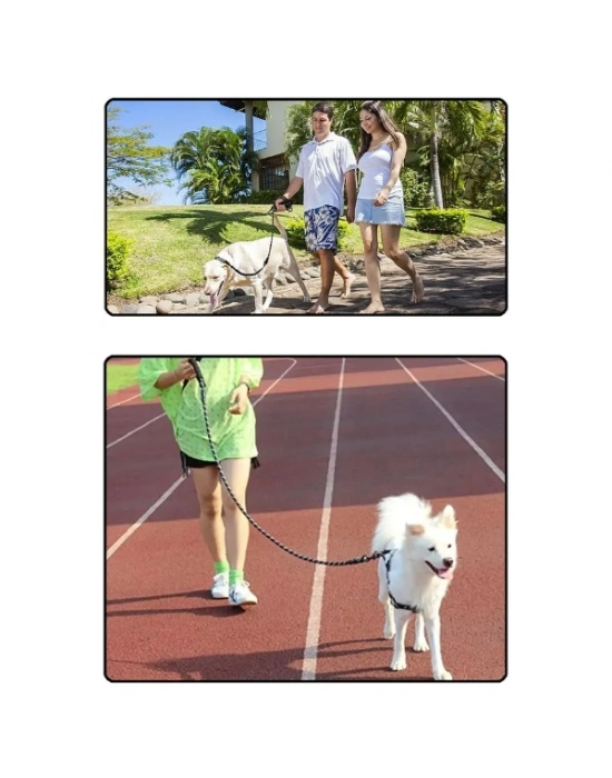 Evcil Hayvan Reflektörlü Fitil Gezdirme Tasması 8 mm x 120 cm