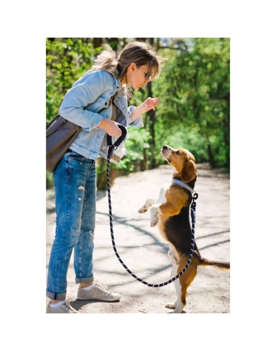 Evcil Hayvan Reflektörlü Fitil Gezdirme Tasması 8 mm x 120 cm